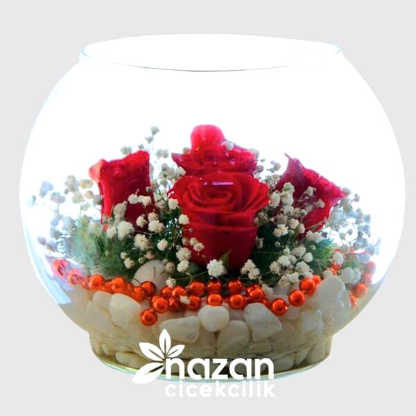Nazan Cicekcilik Cam Fanus Içerisinde Kırmızı Güller 1
