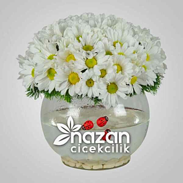 Nazan Cicekcilik Cam Fanusta Kir Cicekleri 1