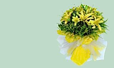 nazan-cicekcilik-lilyumlar