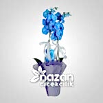 nazan-cicekcilik-mavi-orkide-1