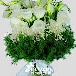 Nazan Cicekcilik Seffaf Silindir Vazoda Beyaz Lisyantuslar 2