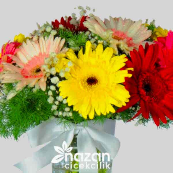 Nazan Cicekcilik Seffaf Silindir Vazoda Renkli Gerberalar 2