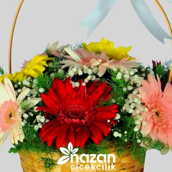 Nazan Cicekcilik Sepette Renkli Gerbera Aranjmanı 2