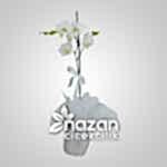 nazan-cicekcilik-tek-dal-beyaz-orkide-1