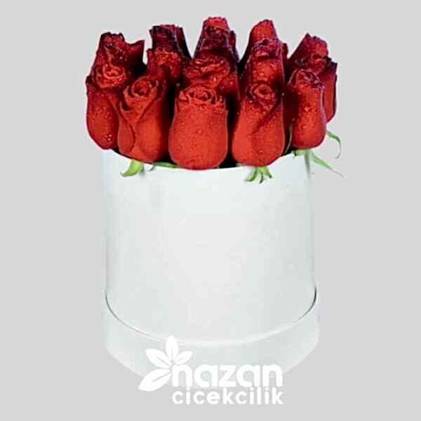 nazan-cicekcilik-beyaz-kutuda-20-adet-kirmizi-gul-1
