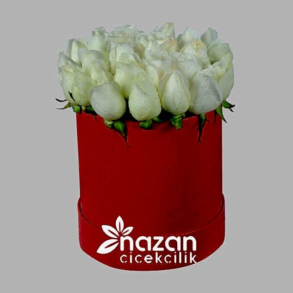 nazan-cicekcilik-kirmizi-kutuda-20-adet-beyaz-gul-1