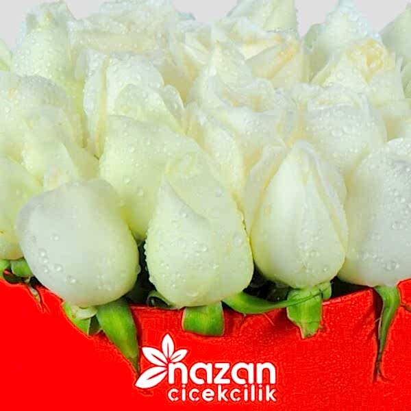 nazan-cicekcilik-kirmizi-kutuda-20-adet-beyaz-gul-2