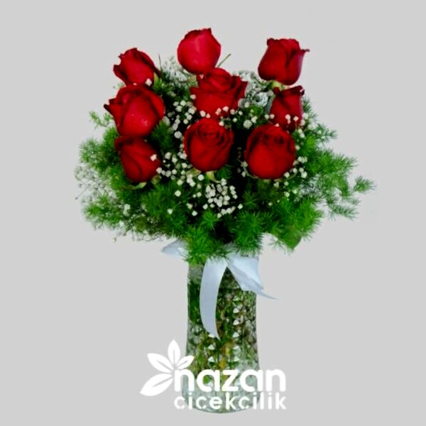 nazan-cicekcilik-seffaf-silindir-vazoda-9-lu-kirmizi-gul-1