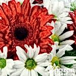 nazan-cicekcilik-seramik-vazoda-karisik-kir-cicekleri-3