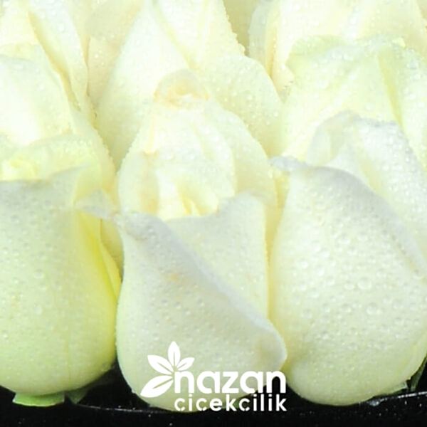 nazan-cicekcilik-siyah-kutuda-20-adet-beyaz-gul-2