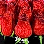 nazan-cicekcilik-siyah-kutuda-20-adet-kirmizi-gul-2