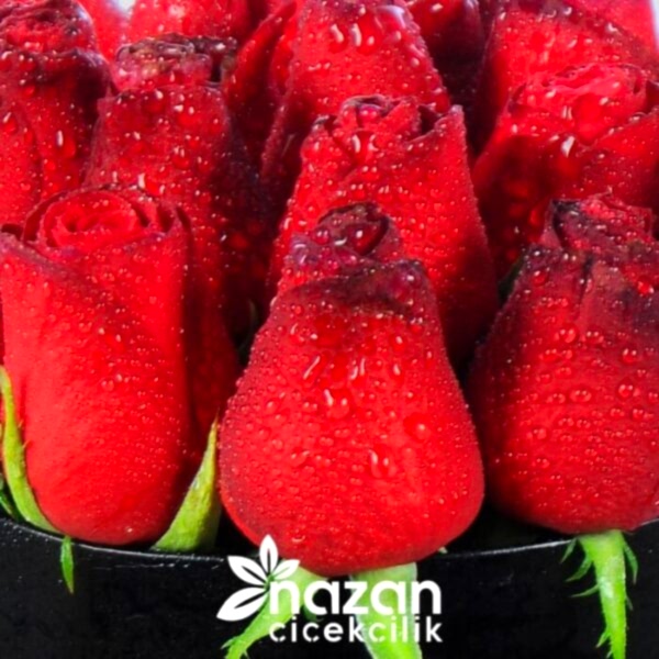 nazan-cicekcilik-siyah-kutuda-20-adet-kirmizi-gul-2