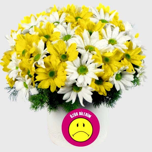 nazan-cicekcilik-seramik-vazoda-karisik-krizantemler-ozur-dilerim