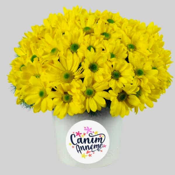 nazan-cicekcilik-seramik-vazoda-sari-krizantemler-canim-annem