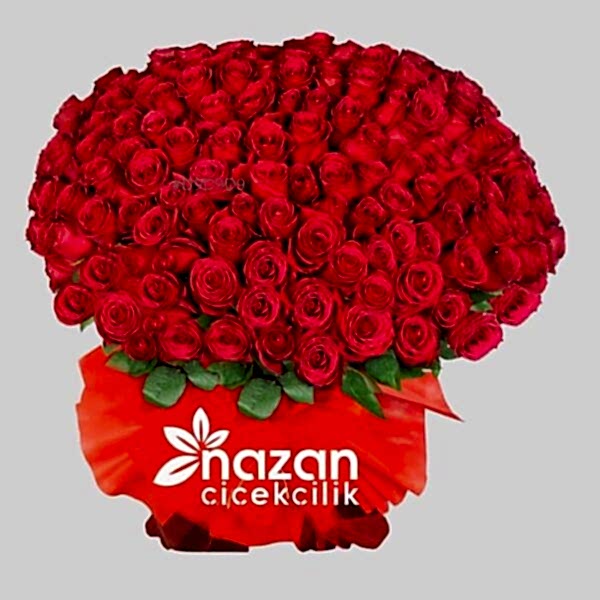 nazan-cicekcilik-200-kirmizi-gul-buketi-1
