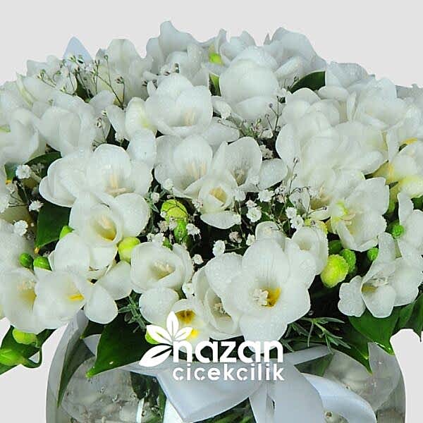 nazan-cicekcilik-cam-fanusta-beyaz-frezyalar-2