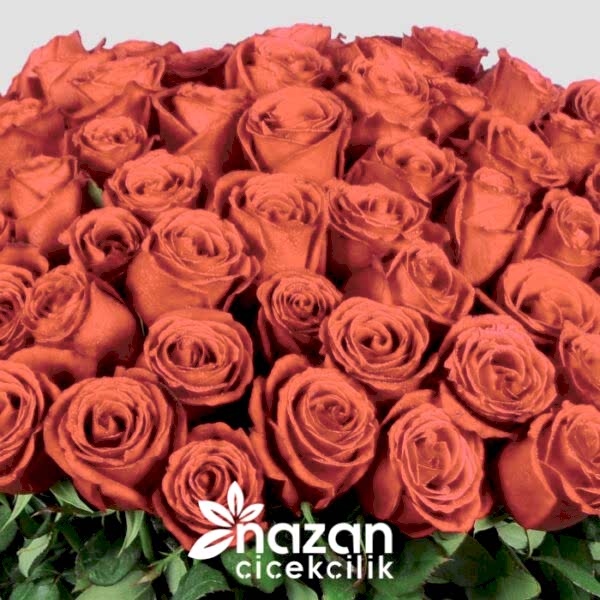 nazan-cicekcilik-cam-vazoda-101-kirmizi-gul-2